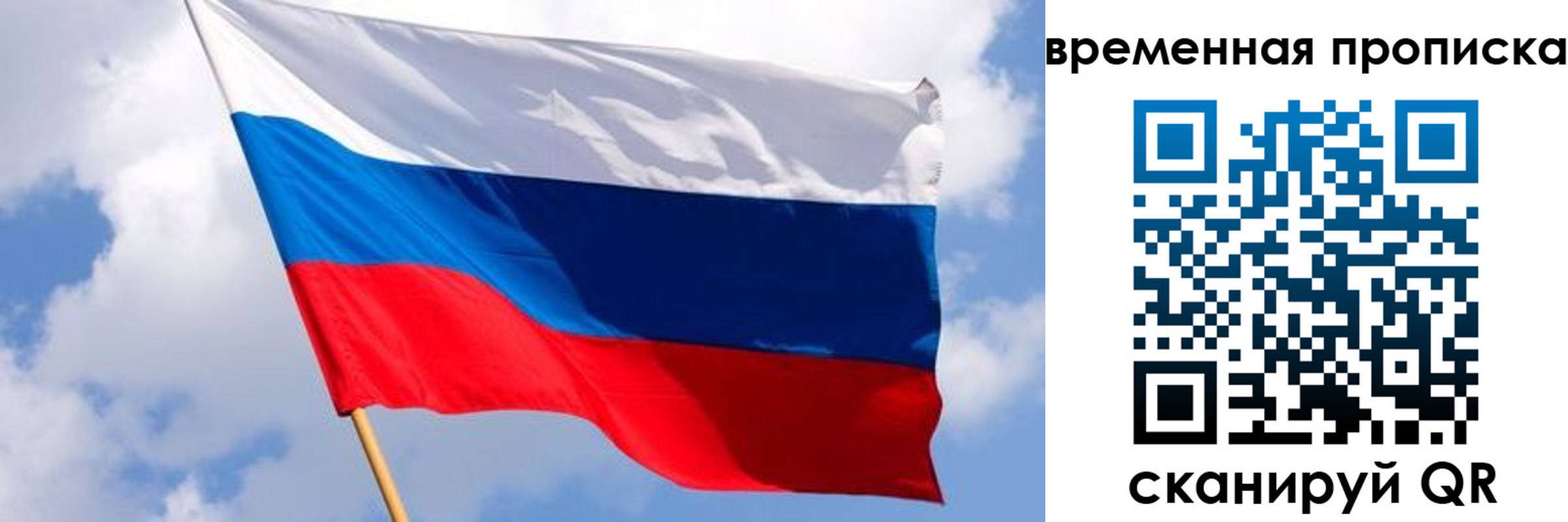 прописка 2025 в Кольчугино